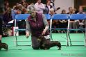 Crufts2011_2 1440